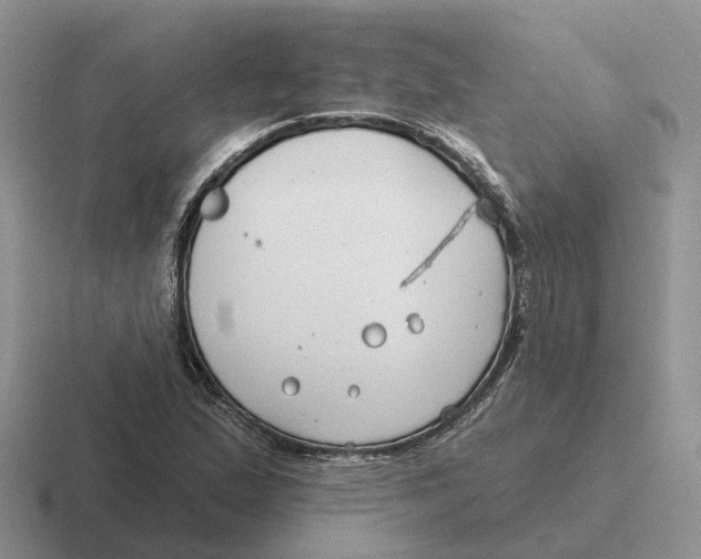 X0000116671167201001041124