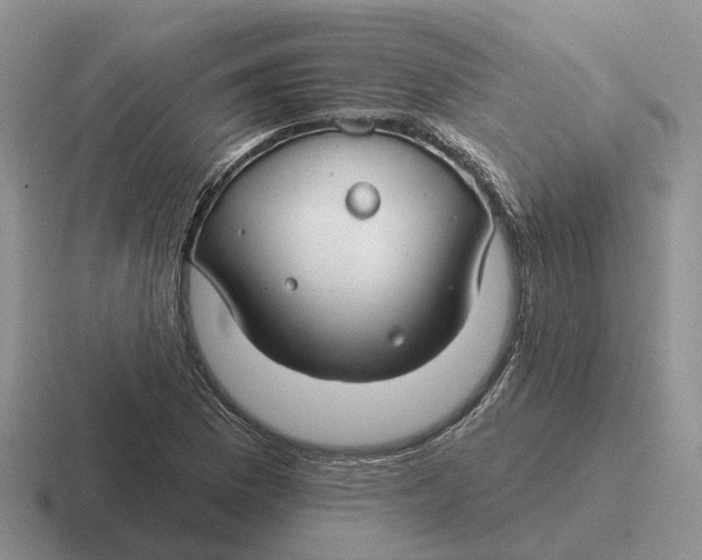 X0000116671169201001041123