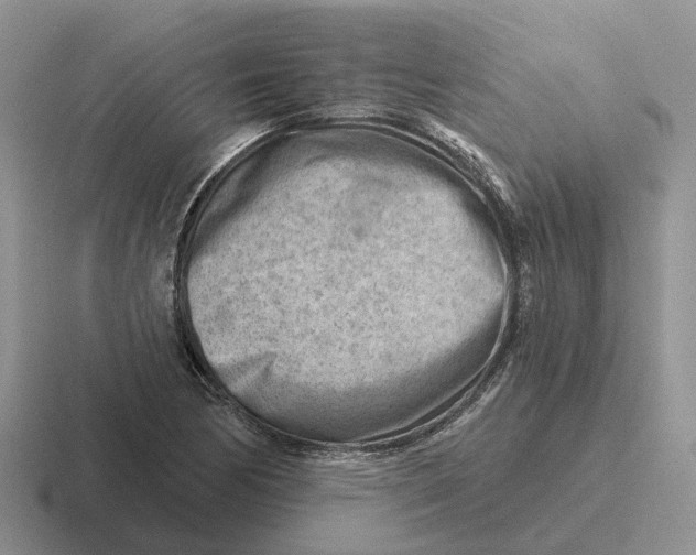 X0000116671170201001041123