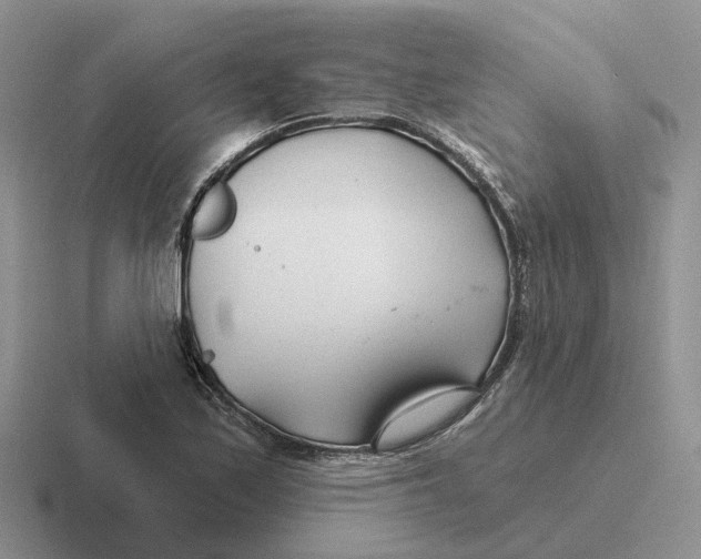 X0000116671171201001041123