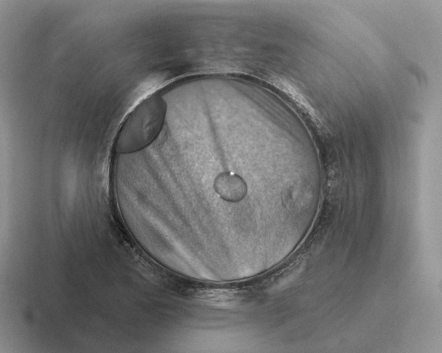 X0000116671173201001041123