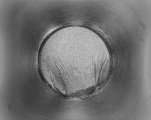 X0000116671174201001041123