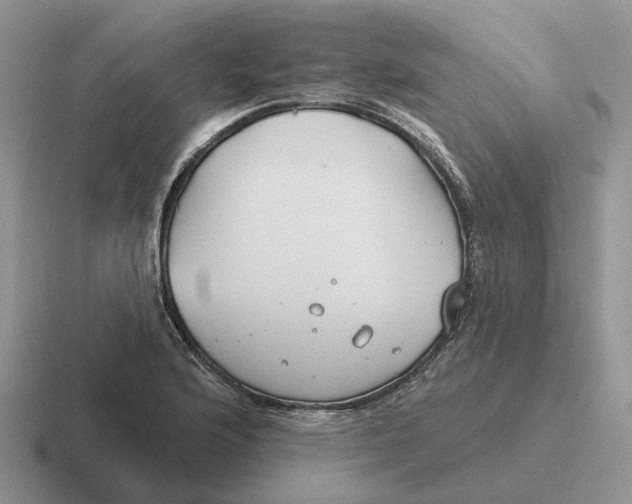 X0000116671176201001041123