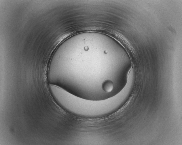 X0000116671177201001041123