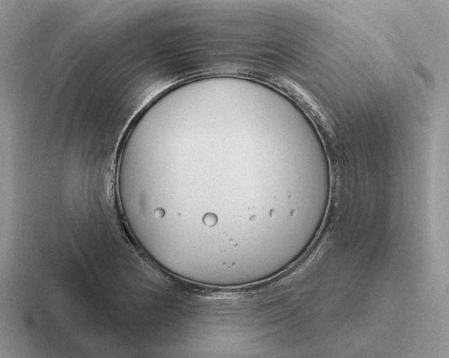 X0000116671178201001041123