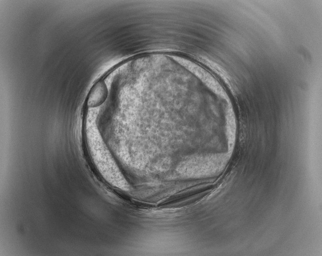 X0000116671179201001041123