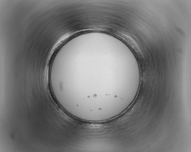 X0000116671180201001041123