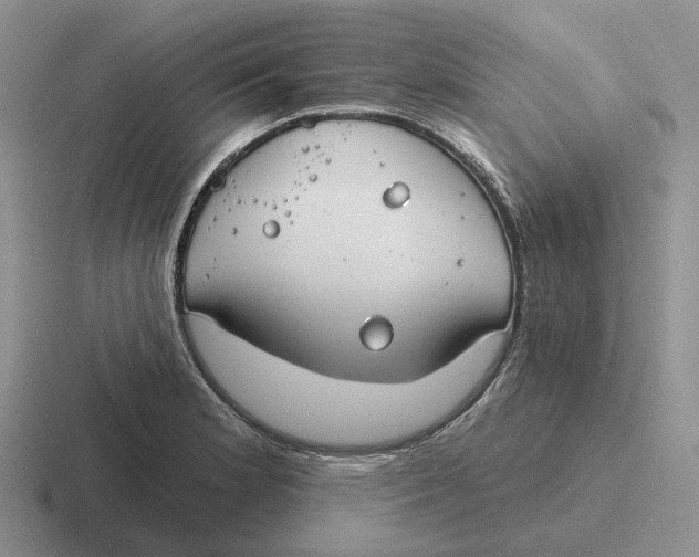 X0000116671181201001041123