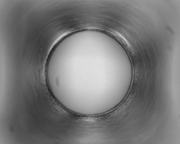 X0000116671182201001041123