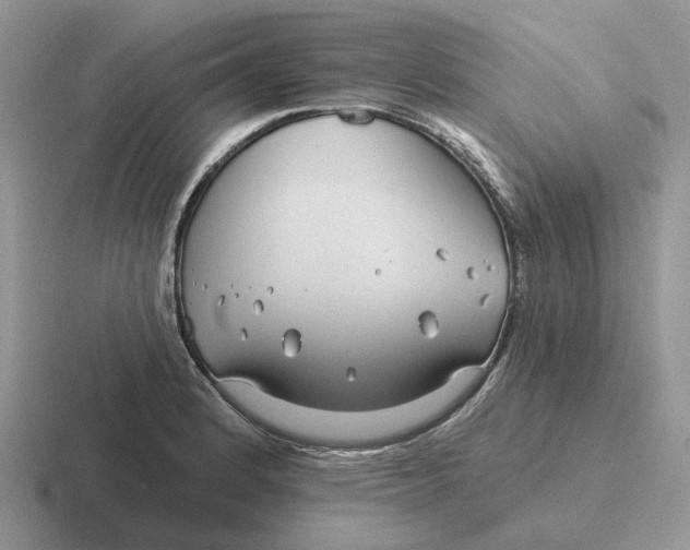 X0000116671184201001041123