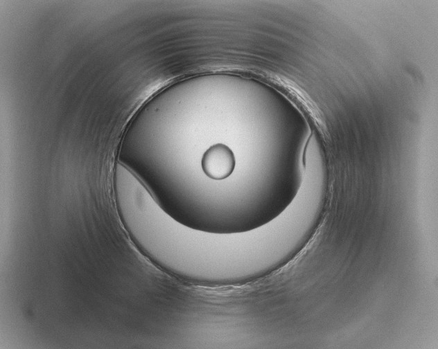 X0000116671185201001041123