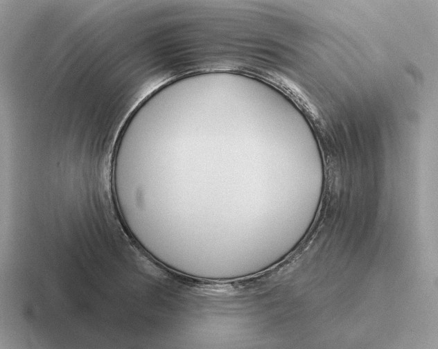 X0000116671186201001041123