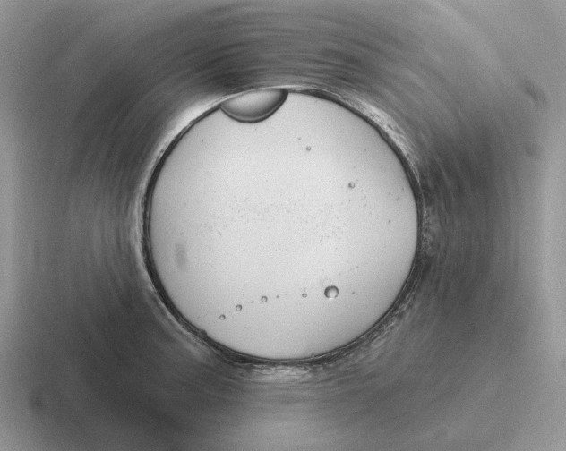 X0000116671187201001041123