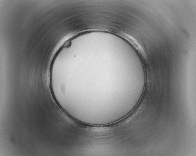 X0000116671188201001041123