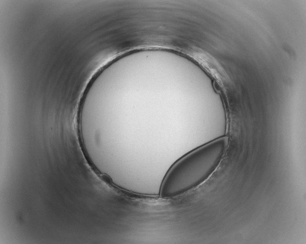 X0000116671189201001041123