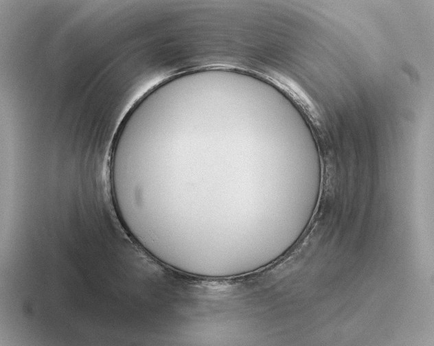 X0000116671190201001041123