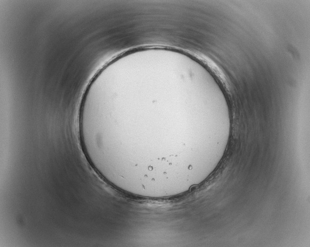 X0000116671191201001041123