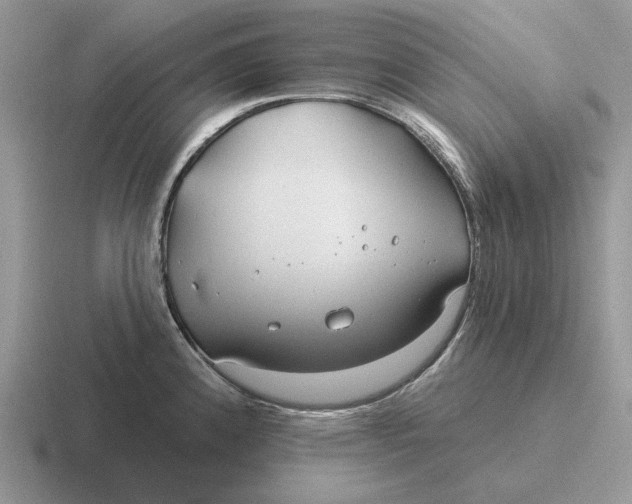 X0000116671192201001041123