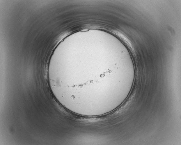 X0000116671193201001041123