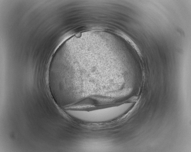 X0000116671194201001041123