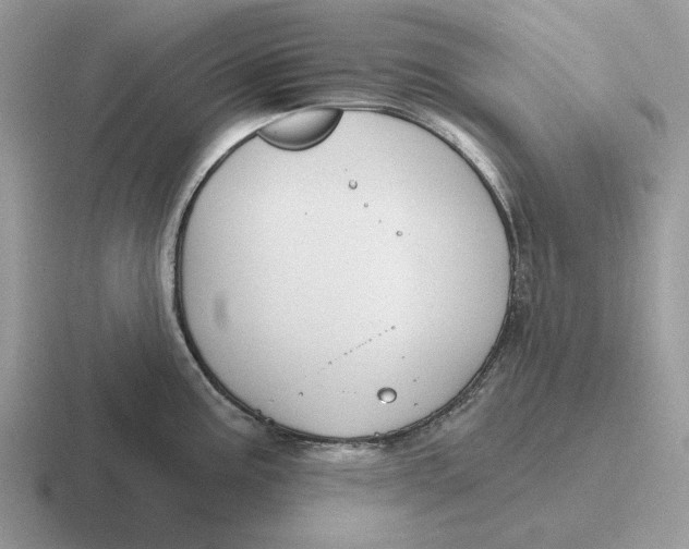 X0000116671195201001041123