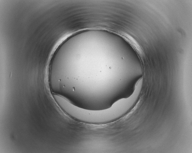 X0000116671196201001041123