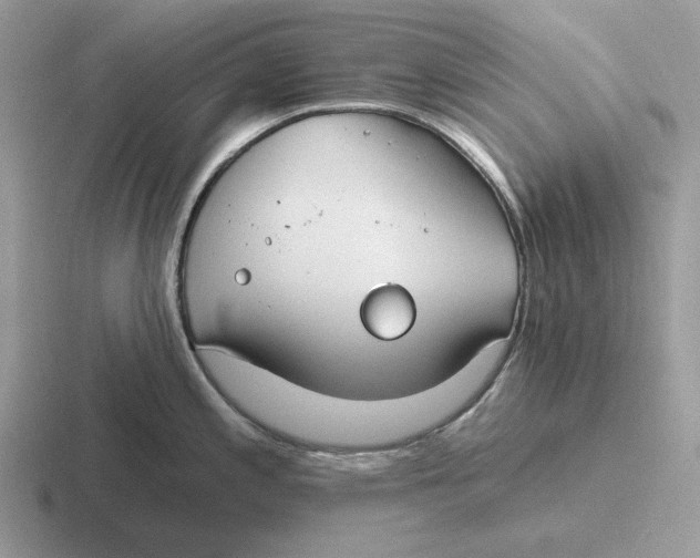 X0000116671197201001041123