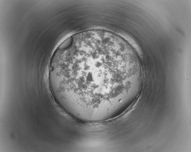 X0000116671198201001041123