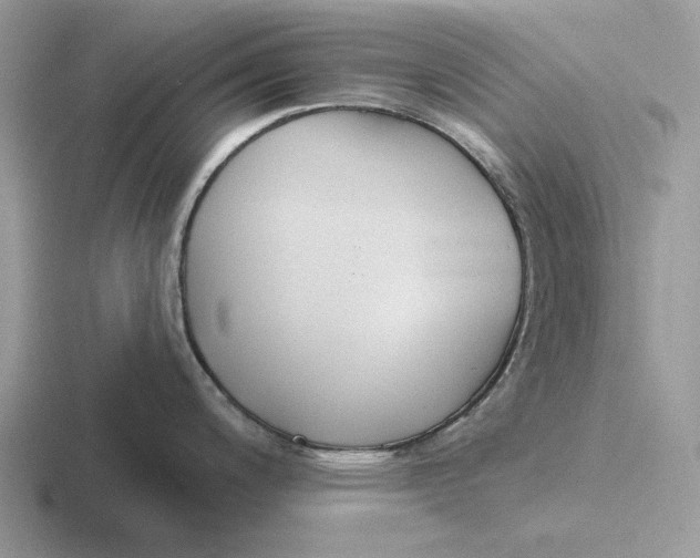 X0000116671200201001041123