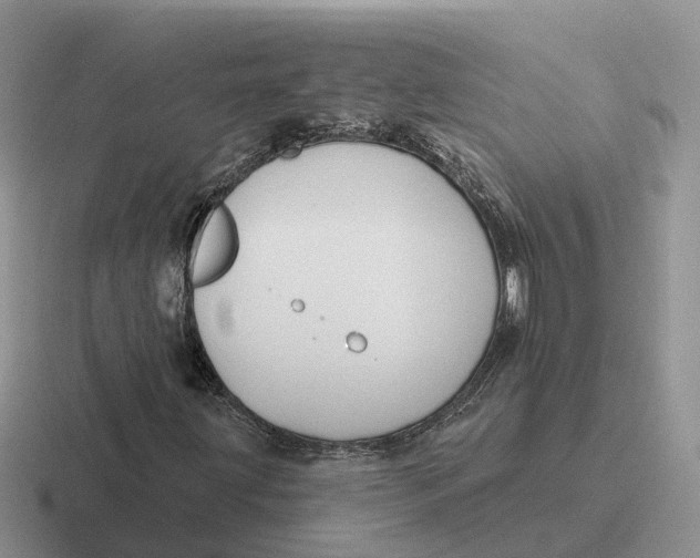 X0000116671203201001041123