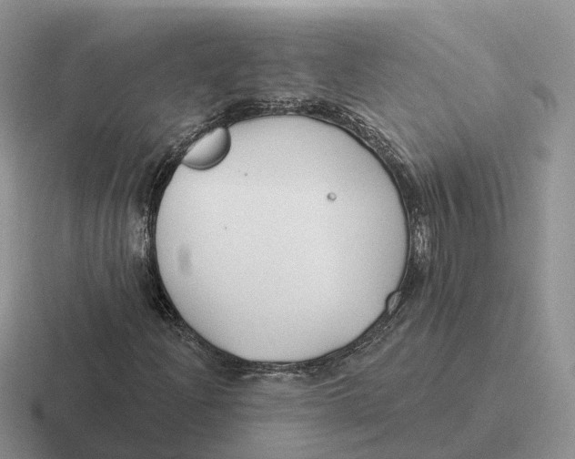 X0000116671204201001041123