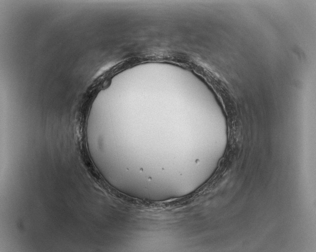 X0000116671206201001041123