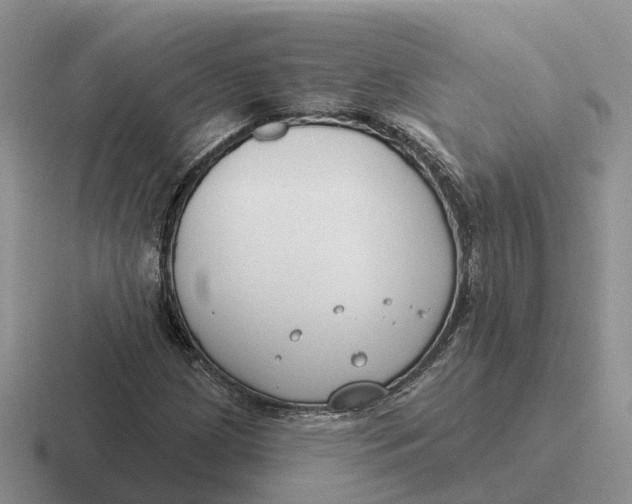 X0000116671209201001041123