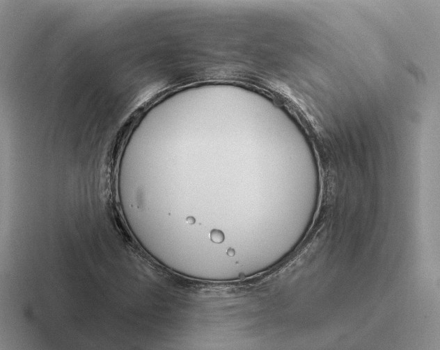 X0000116671211201001041123