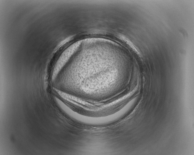 X0000116671213201001041123