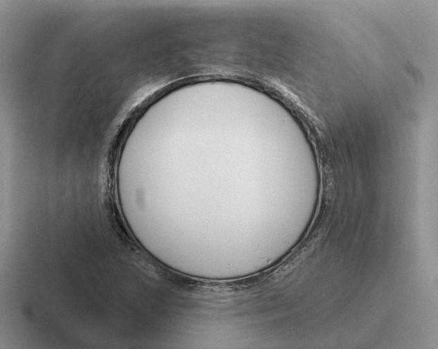 X0000116671215201001041123