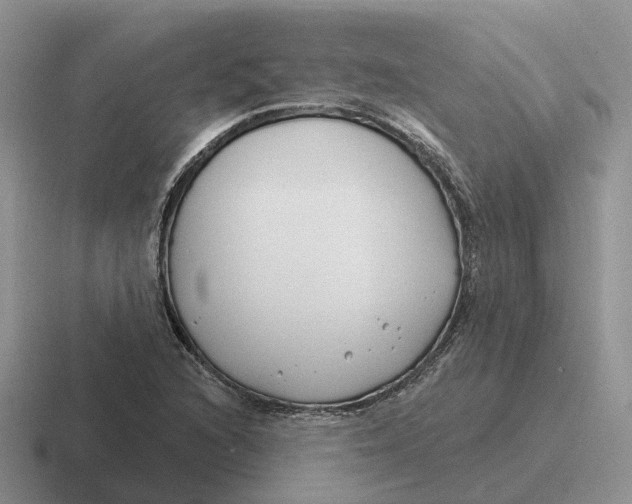 X0000116671216201001041123