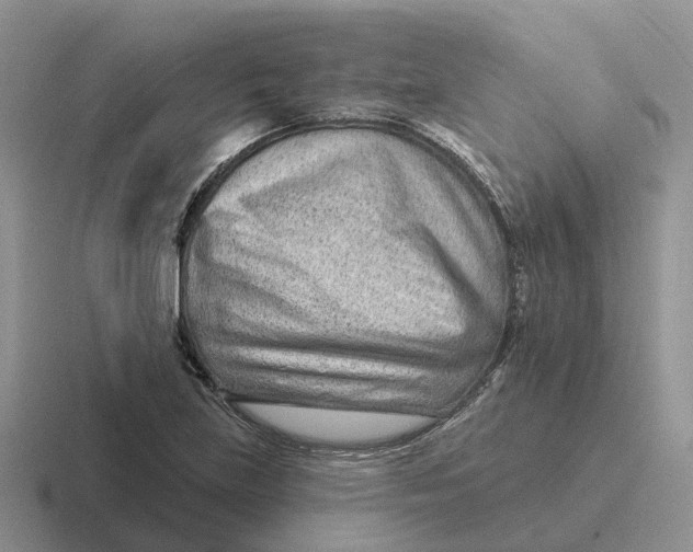 X0000116671219201001041123