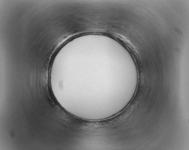 X0000116671220201001041123