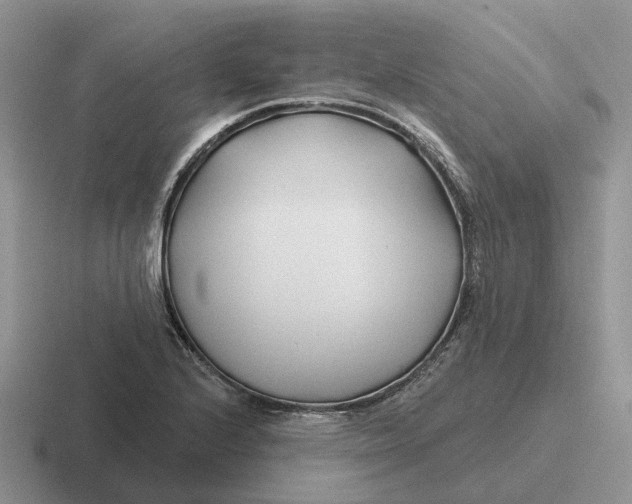 X0000116671224201001041123