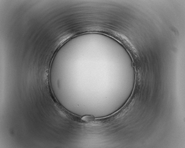 X0000116671225201001041123