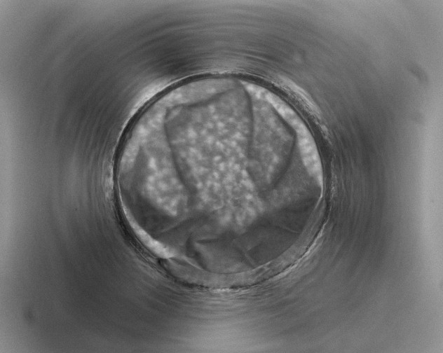 X0000116671226201001041123