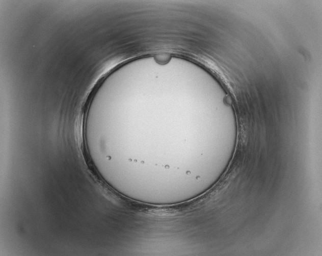 X0000116671227201001041123