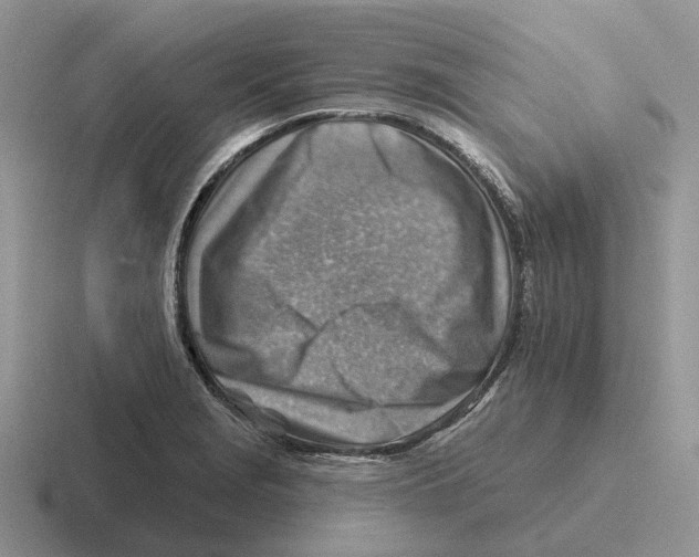 X0000116671229201001041123