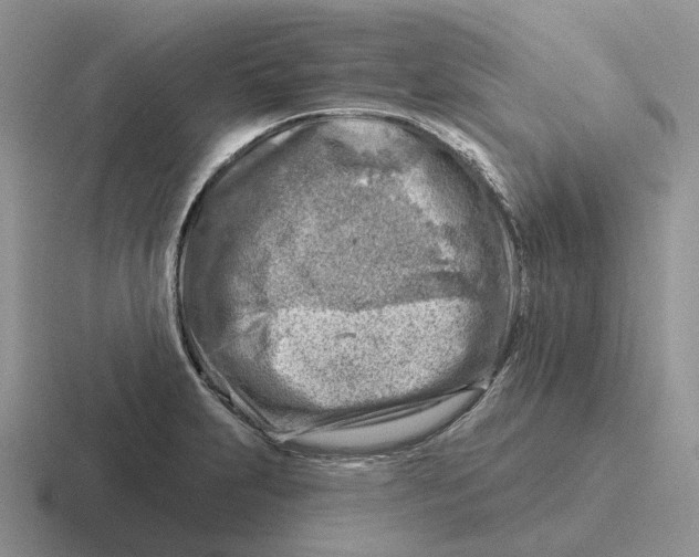 X0000116671231201001041123