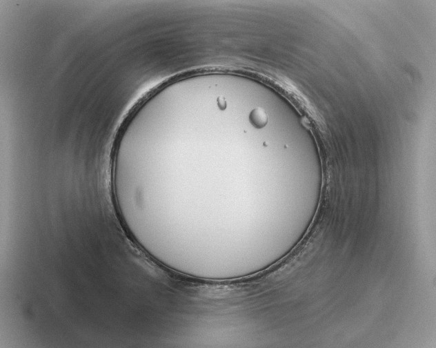 X0000116671232201001041123