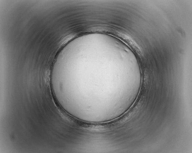 X0000116671233201001041123