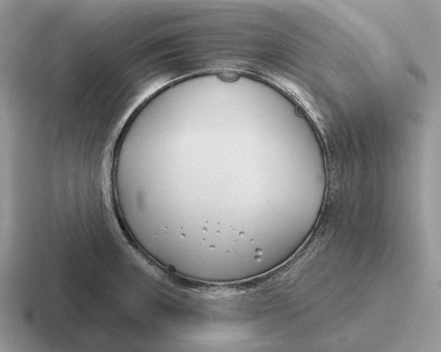 X0000116671235201001041123