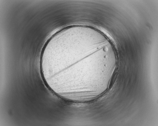 X0000116671237201001041123