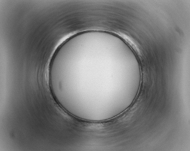 X0000116671238201001041123